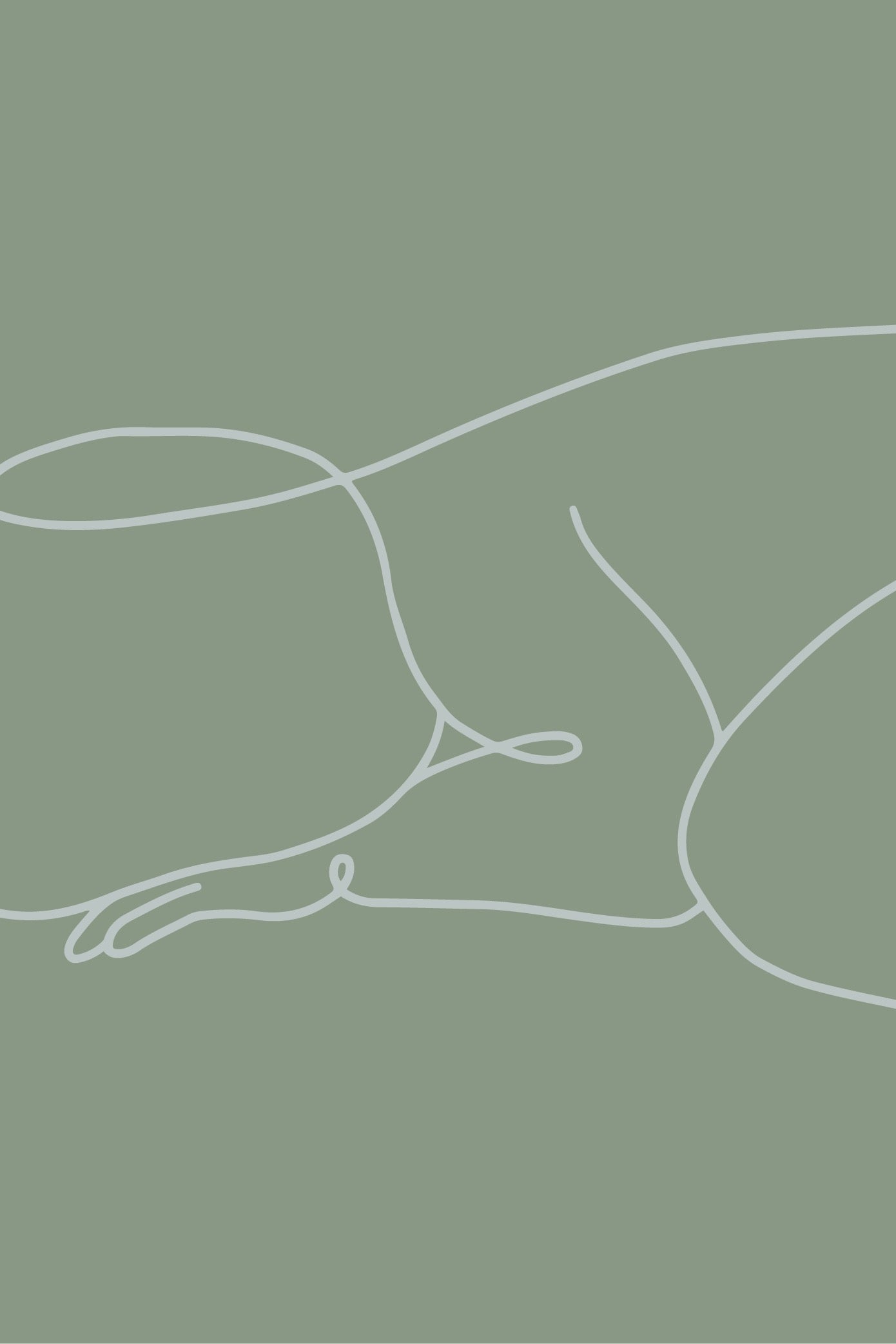Gift a Swaddle